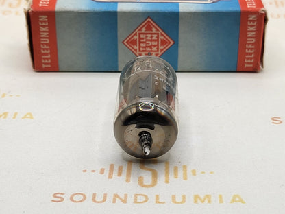 Telefunken ECC802S 6189 ◇ Bottom