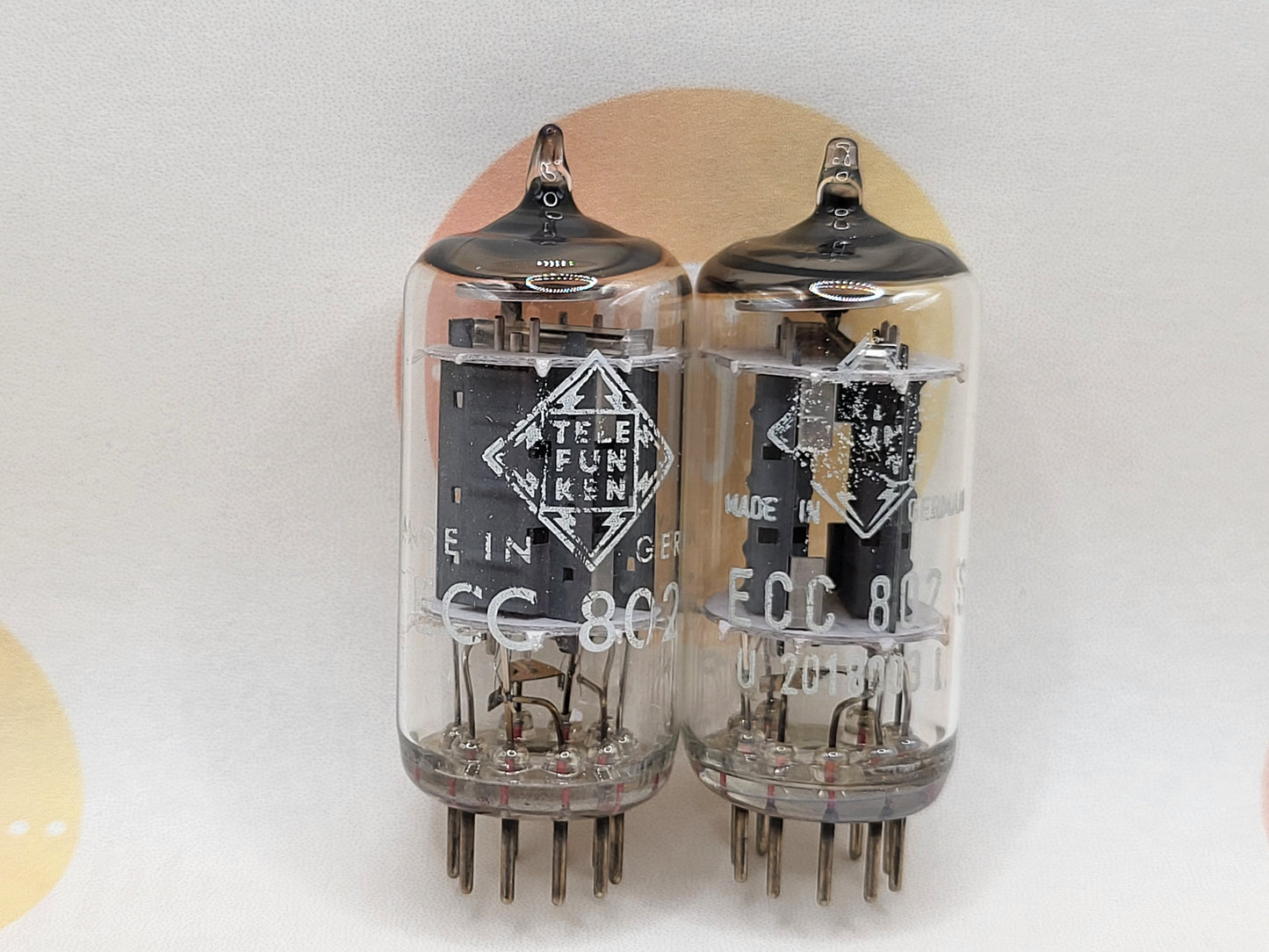 Telefunken ECC802S 6189 ◇ Bottom