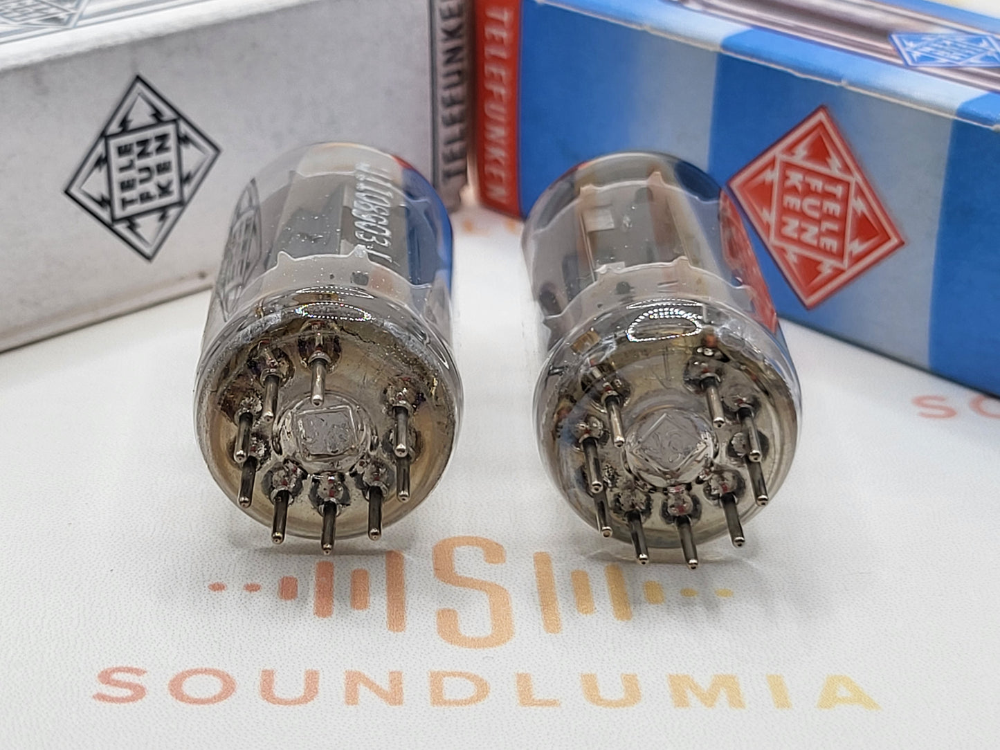 Telefunken ECC802S 6189 ◇ Bottom