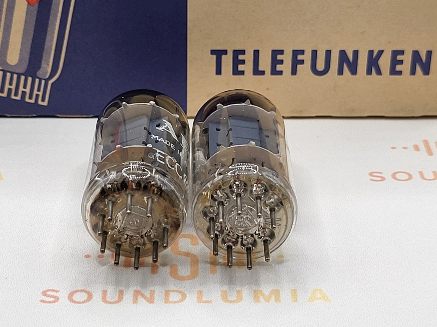 Telefunken ECC802S 6189 ◇ Bottom