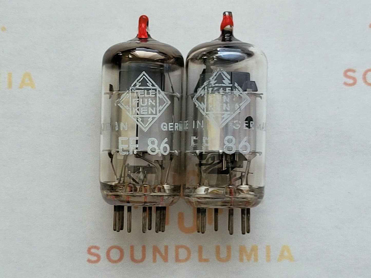 Telefunken EF86 6267 Silver Plates ◇ Bottom