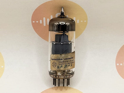 1x Telefunken EF804S Labormuster (Lab Prototypes) - ◇ Bottom - Strong