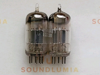 Philips ECC81 12AT7 Foil D-getter Matched Pair - Heerlen 1955 TK1 - Same Code