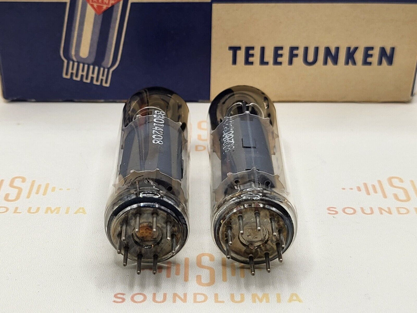 Telefunken EL84 6BQ5 ◇ Bottom