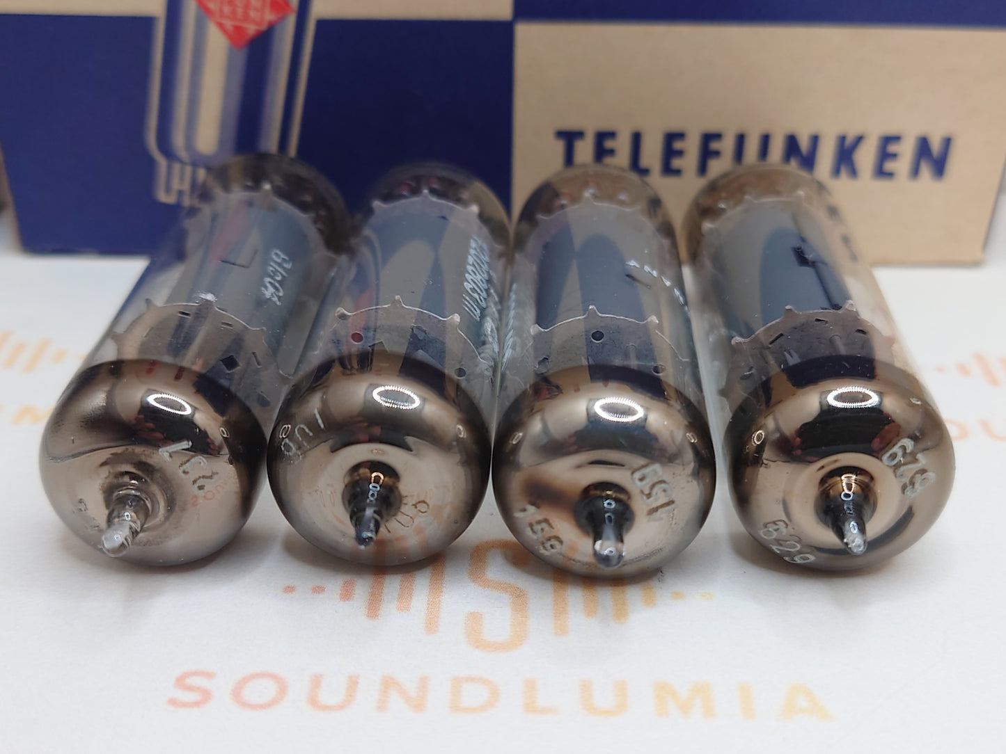 Telefunken EL84 6BQ5 ◇ Bottom